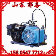 車載充氣泵 行車必備神器，安全出行的得力助手